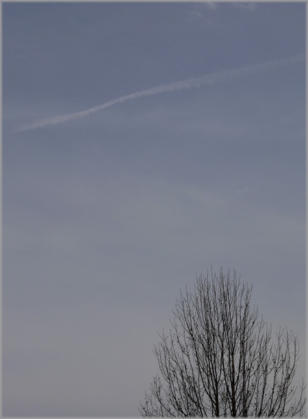 P1020566_hikoukigumo_lum