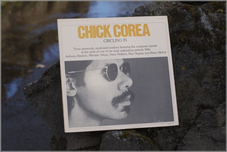 P1060898_circlingin_lum2