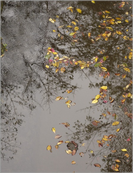 P1010637_akichikashi_lum