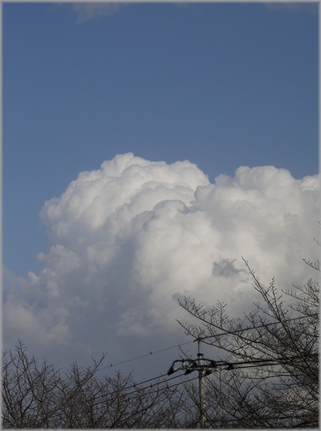 P1020468_nyudogumo_lum