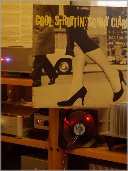 P1010735_struttin_lum