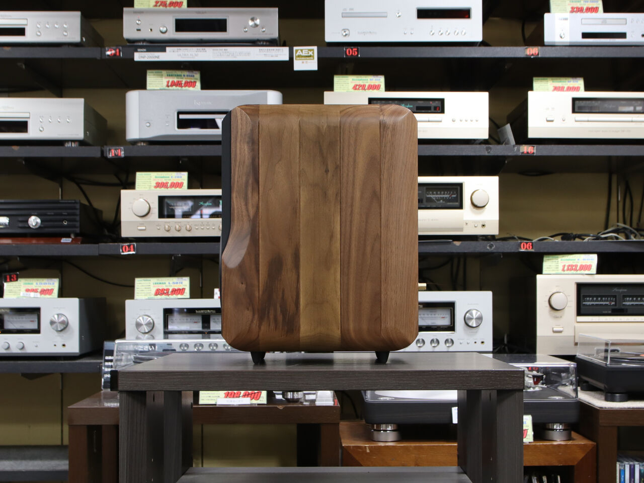 楽器が歌うスピーカー！Chario Delphinusの展示を開始しました