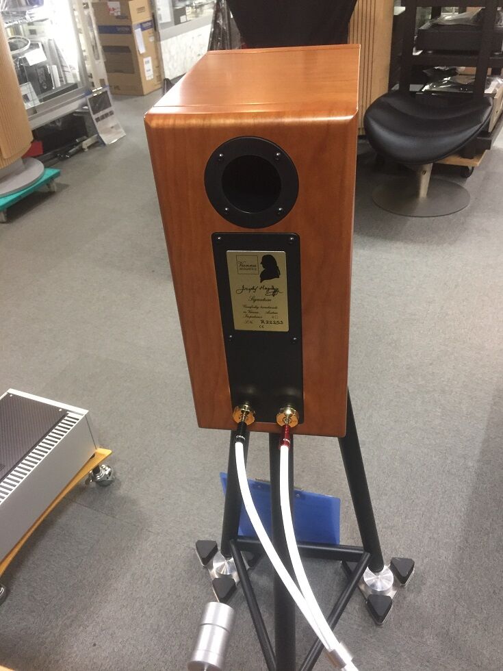Vienna Acoustics HaydnS-1スピーカー Vienna Acoustics、上位機と同じユニットの2ウェイブック