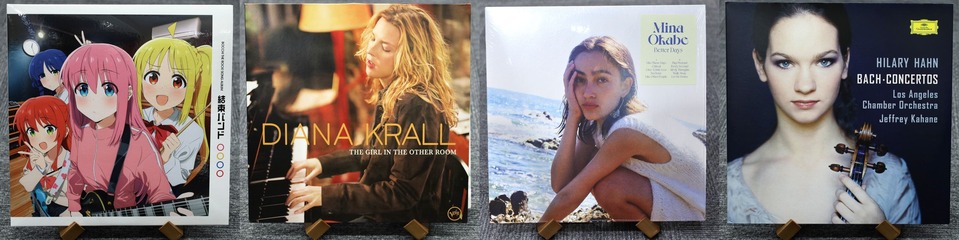 GIRL IN THE OTHER ROOM ダイアナ・クラールa