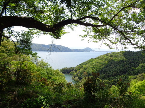DSC02984
