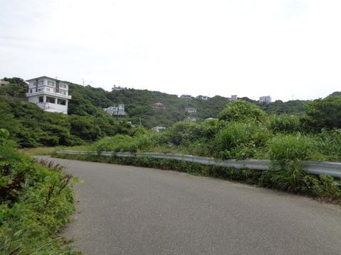 DSC07111
