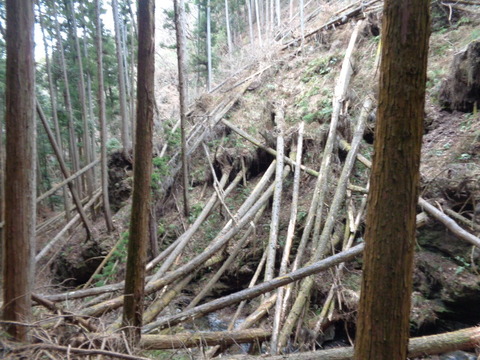 DSC09057