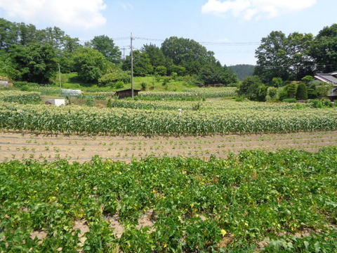 DSC01069