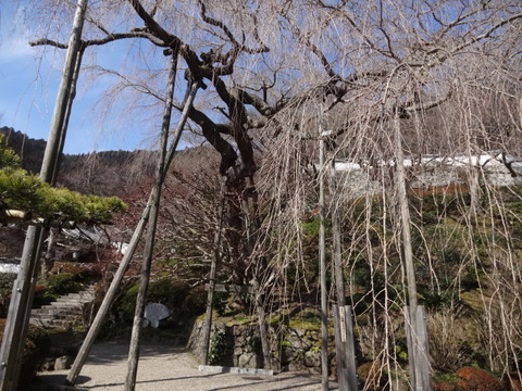 DSC03984
