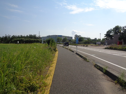 DSC08238