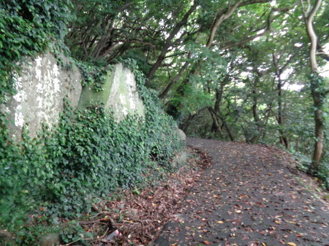 DSC01093