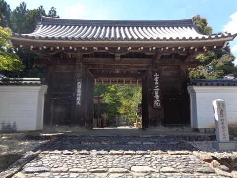 DSC02005