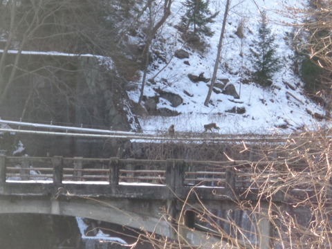 DSC00300