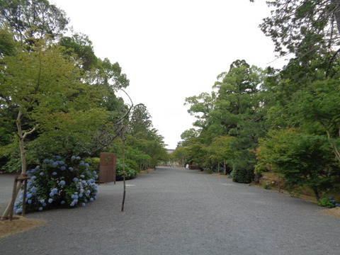 DSC00284