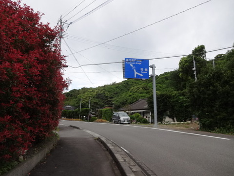 DSC05956