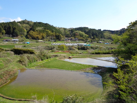DSC09851