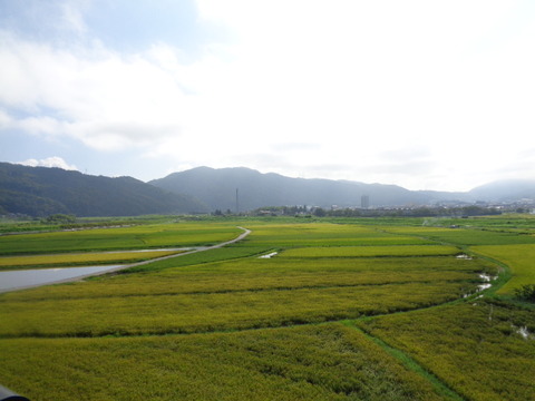 DSC01719