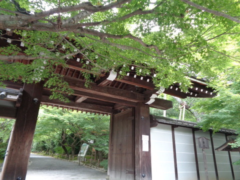 DSC00167