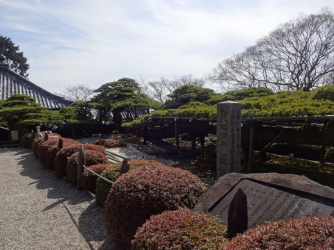 DSC03980