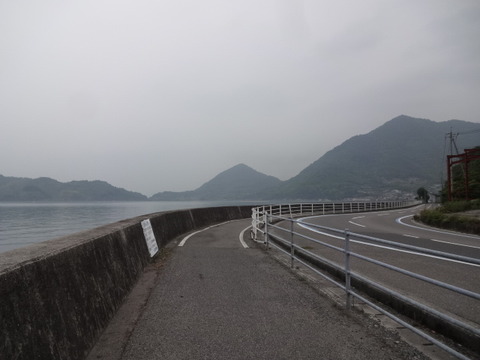 DSC07351