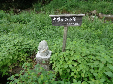 DSC01508
