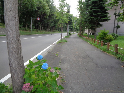 DSC04830