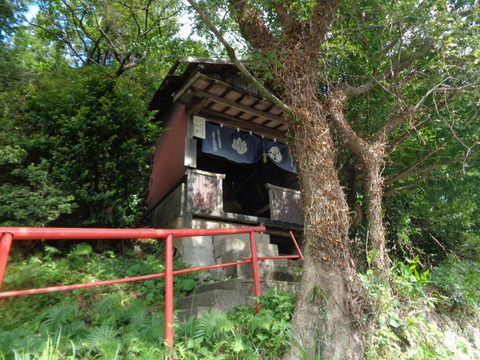DSC02439