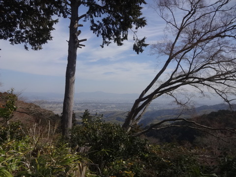 DSC03974