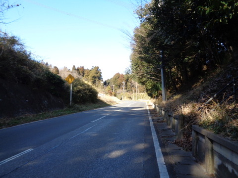 DSC02524