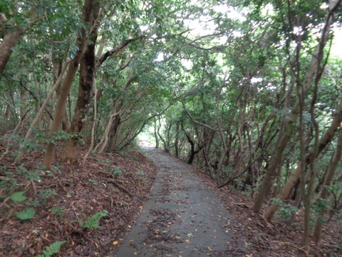 DSC00984