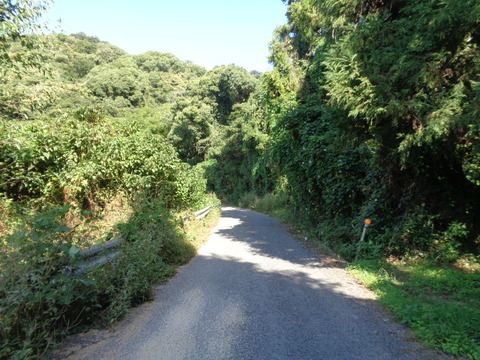 DSC09522