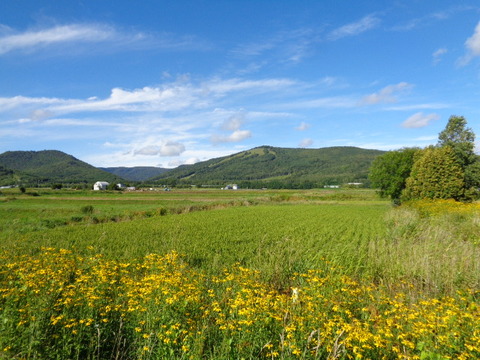 DSC03919