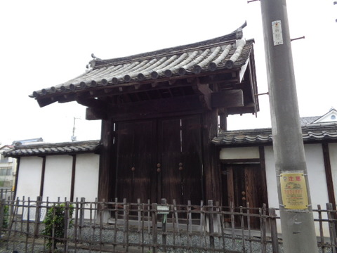 DSC03731
