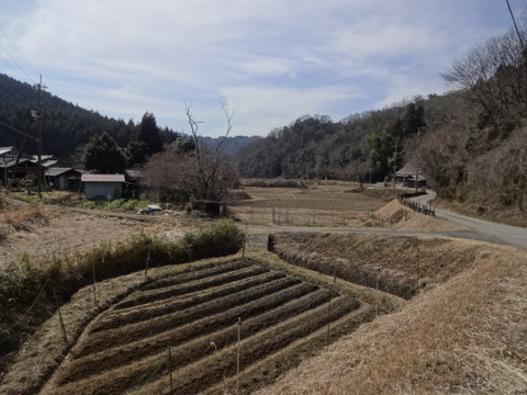 DSC04054