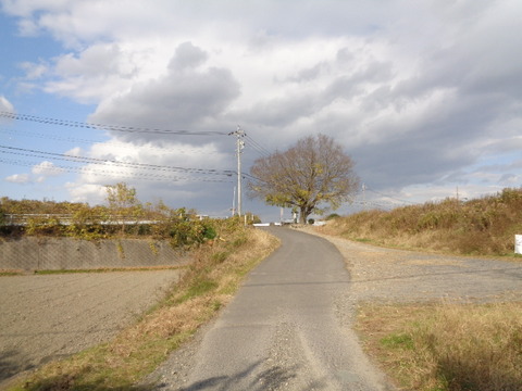 DSC07002