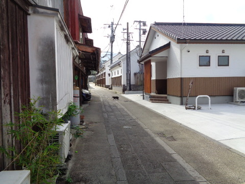 DSC05543