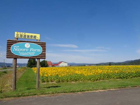 DSC04437