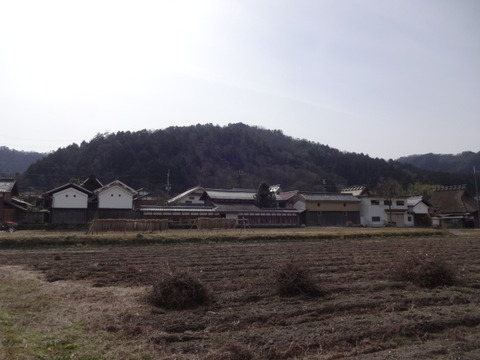 DSC04312