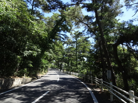 DSC00004