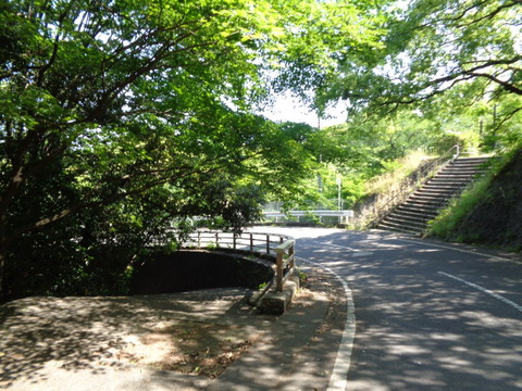 DSC09491