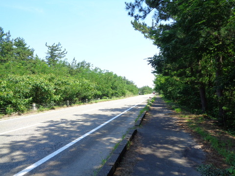DSC08279