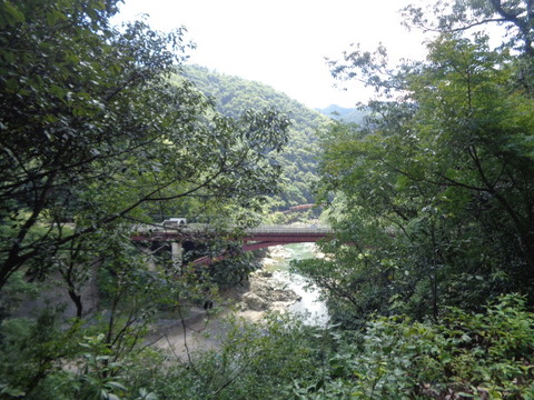 DSC01904
