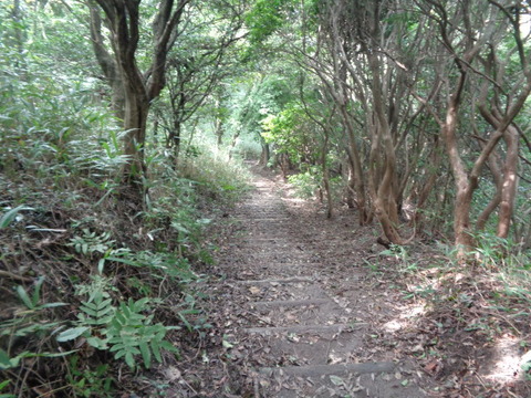 DSC02290