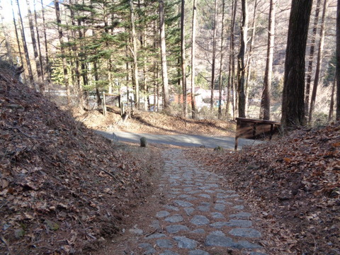 DSC06641