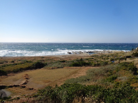 DSC01439