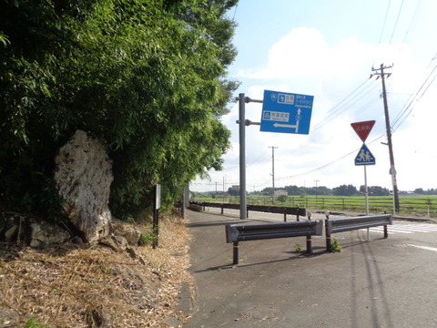 DSC08804