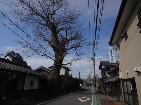 DSC04095