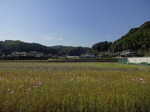 DSC00479