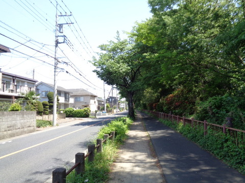 DSC00257