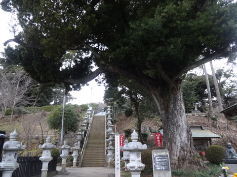 DSC04237